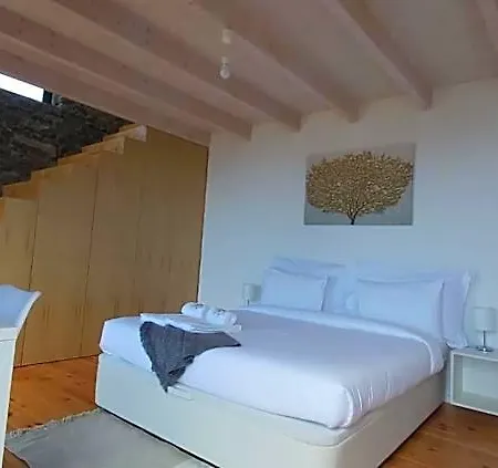 House Nobrega Of Madeirã